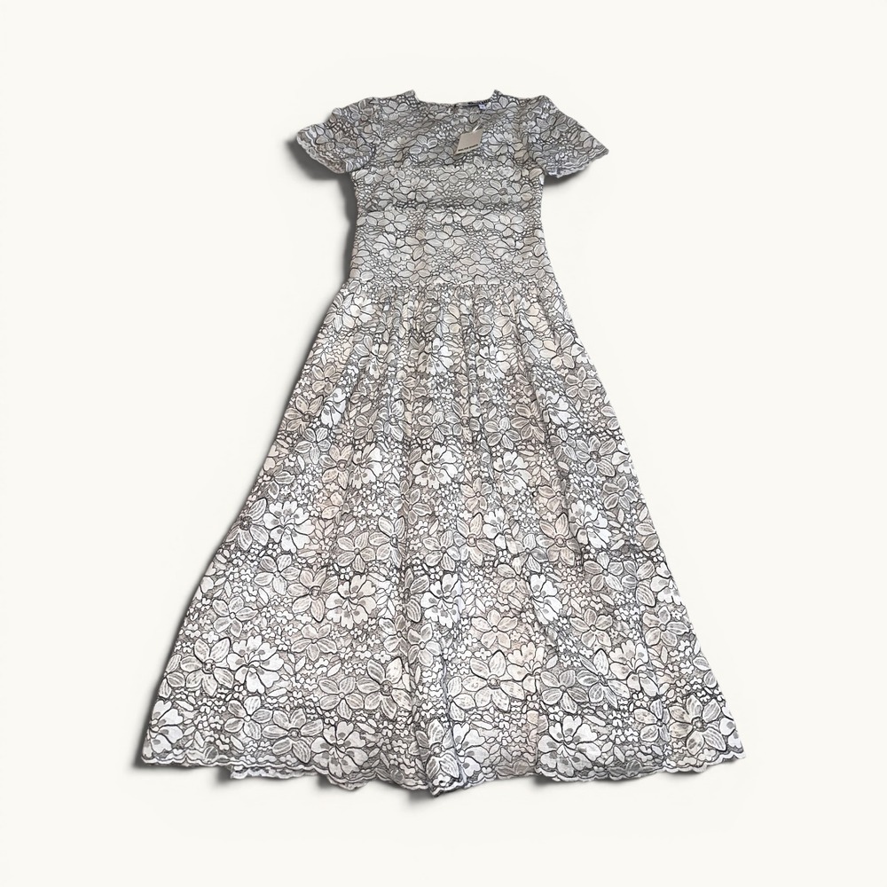 Walter Baker Mila Drop Waist Floral Lace Midi Dress Small NWT Anthro Coquette - Picture 5 of 8